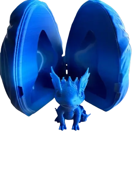 Dragon océan dans son oeuf